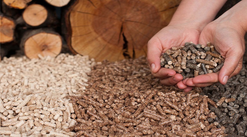 The Advantages of Using Biomass Briquettes for Energy Generation